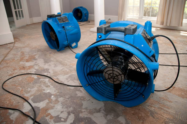 Best Flooded house restoration  in Lisbon Falls, ME