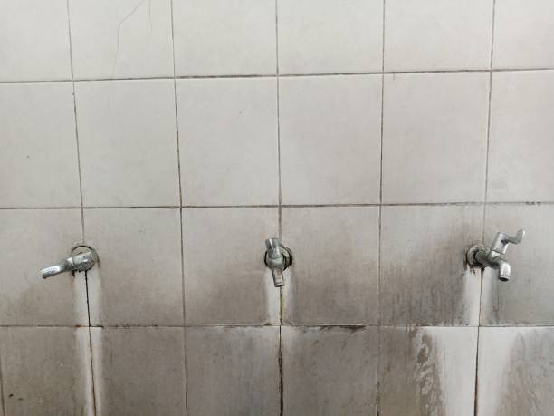 Best Mold removal after water damage  in Lisbon Falls, ME